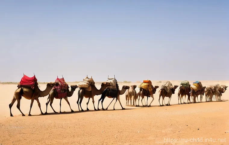 차드와 수단 국경 문제 - Pre-Conflict Pastoral Life**
"A wide, serene landscape shot depicting nomadic herders from both ...