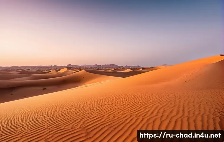 차드 여행 최적의 시기 - **Desert Serenity at Dawn:** "A wide-angle shot of the majestic Sahara Desert at sunrise, casting lo...